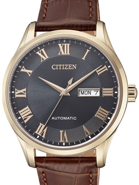 Citizen Automatic Watch with Goldtone Case, Charcoal Dial #NH8363-14H