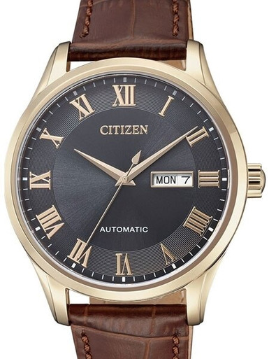 Citizen Automatic Watch with Goldtone Case, Charcoal Dial #NH8363-14H