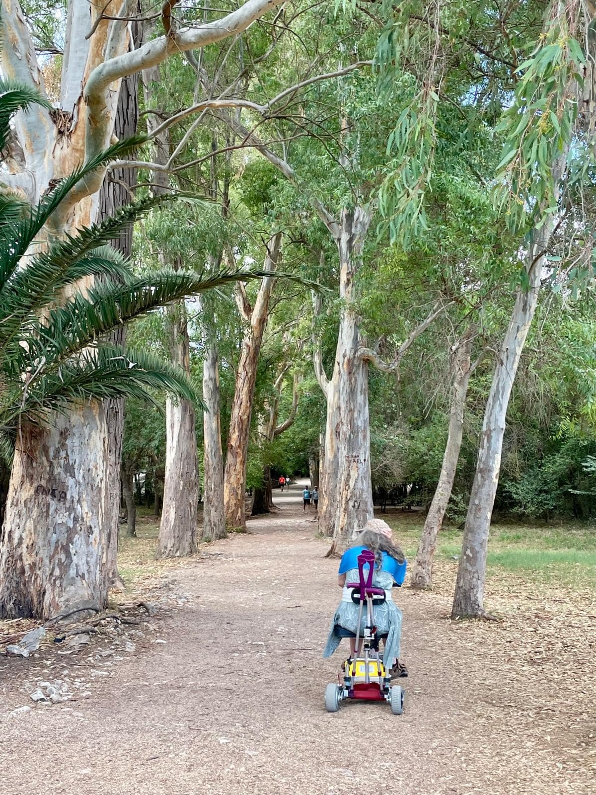 Woman in Hawaii riding a travel scooter next to palm trees.