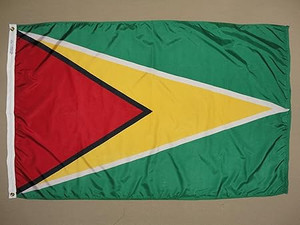 ANNIN GUYANA FLAG 34 INCH X 23 IN.