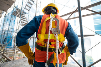  Safety Harnesses and Langards in Guyana: Everything You Need to Know Before You Buy