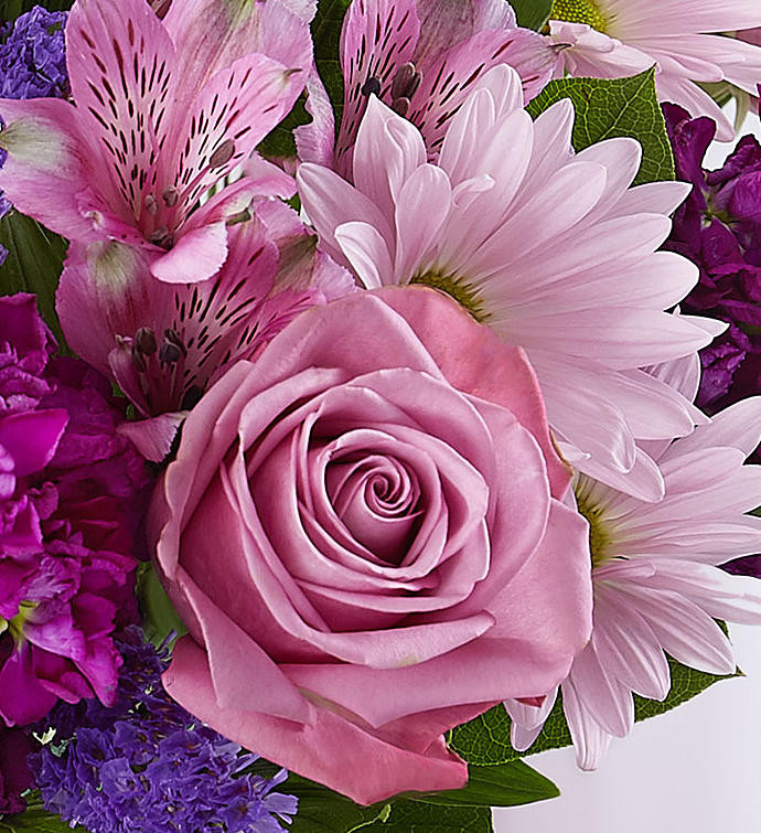 Lavender Dreams - Thumbnail 2