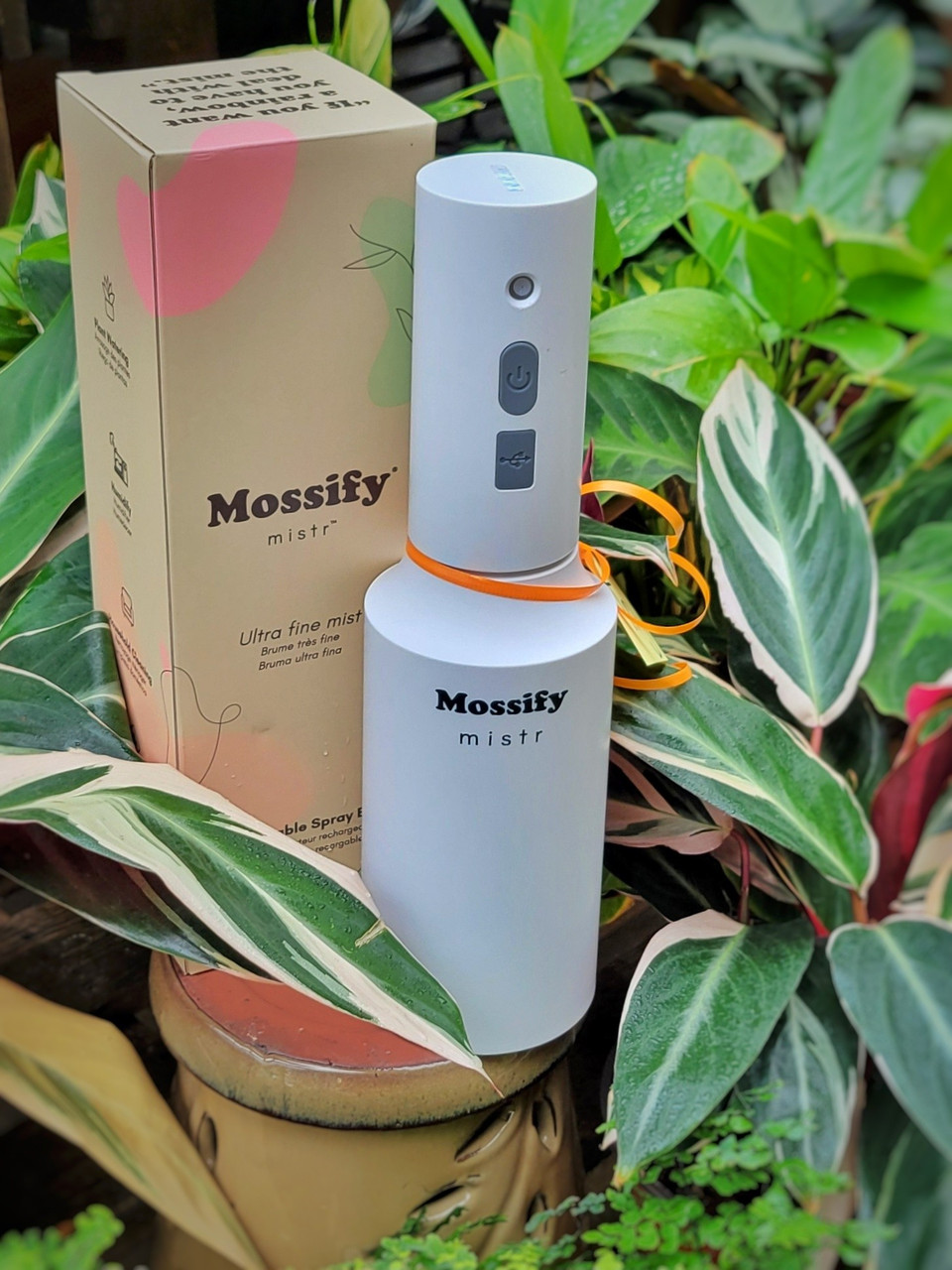 Mossify Mistr - Thumbnail 3