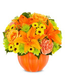 Thanks-for-Giving a Pumpkin