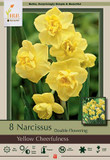 Yellow Cheerfulness Narcissus