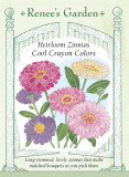 Zinnia Cool Crayon Colors