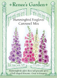 Foxglove, Carousel Mix