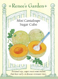 Cantaloupe Mini Sugar Cube