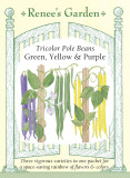 Bean Tricolor Pole