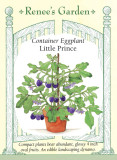 Eggplant Little Prince