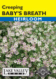 Baby's Breath Creeping