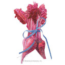 Beet Seeds, Bulls Blood