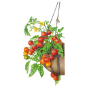 Tomato Seeds, Cherry Falls Bush, Organic