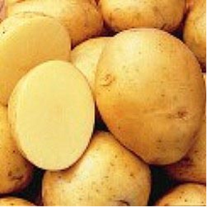 Yukon Gold Potato 5 lb.