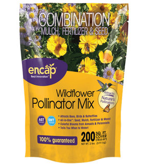 POLLINATOR MIX 200 SQ FT