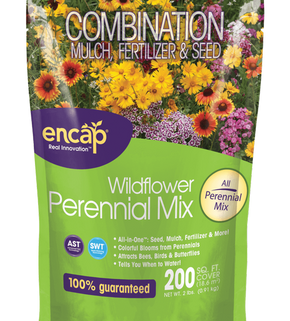 PERENNIAL MIX 200 SQ FT
