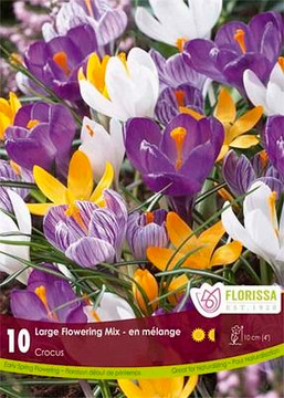 Crocus Variety Mix Crocus Variety Mix
