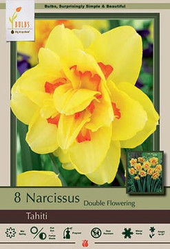Narcissus Bulb, Tahiti (Double)