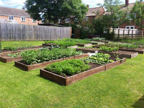 Jan. 17 at 11:15a: Getting the Most Out of Raised Beds