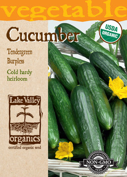 Cucumber Tendergreen Burpless Organic
