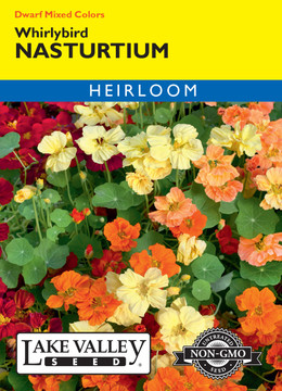 Nasturtium Whirlybird