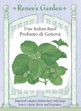 Basil Profumo di Genova