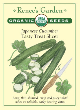 Cucumber Tasty Treat Organic