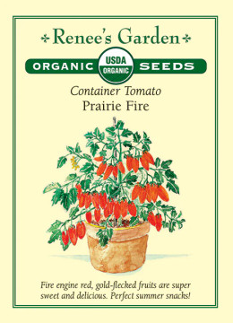 Tomato Prairie Fire Container Tomato Prairie Fire Container