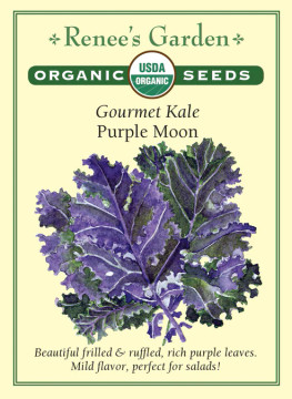 Kale Purple Moon