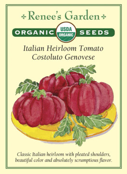 Tomato Costoluto Genovese