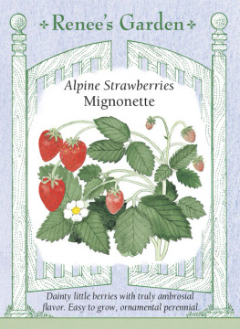 Strawberry Alpine Mignonette Strawberry Alpine Mignonette