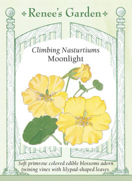 Nasturtium Moonlight, Climbing