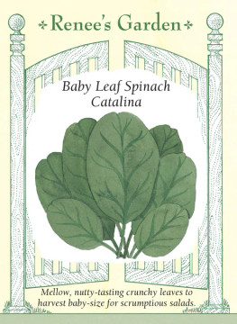 Spinach Catalina Baby Leaf