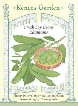 Edamame Soy Beans