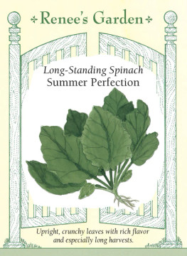 Spinach Summer Perfection