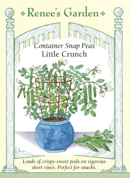 Pea Little Crunch Snap
