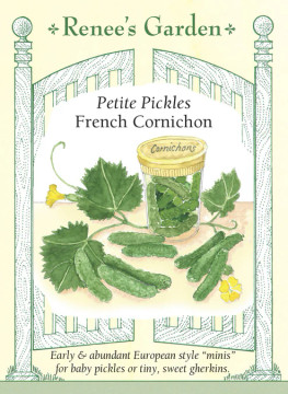 Cucumber French Petite Pickles Cucumber French Petite Pickles
