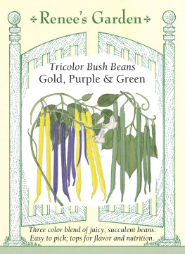 Bean Tricolor Bush