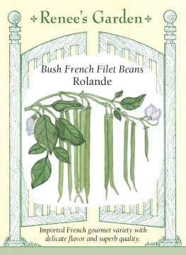 Bean French Filet Bush Bean