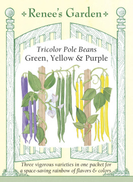 Bean Tricolor Pole