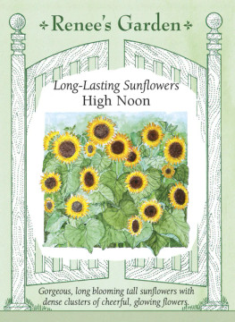 Sunflower High Noon Sunflower High Noon