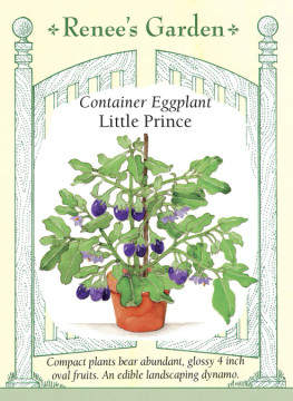 Eggplant Little Prince