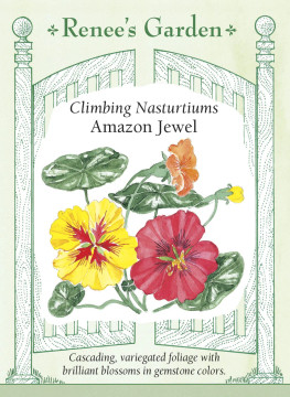 Nasturtium Amazon Jewel, Climbing