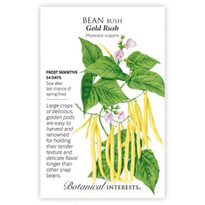 Gold Rush Bush Bean Seeds Gold Rush Bush Bean Seeds