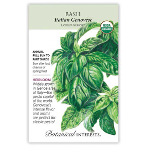 Basil Seeds, Italian Genovese, Organic Basil Seeds, Italian Genovese, Organic