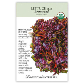 Lettuce Seeds, Eazyleaf Brentwood, Organic
