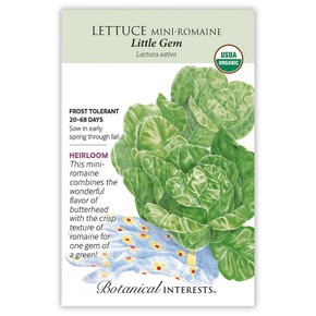 Lettuce Seeds, Little Gem Mini-Romaine, Organic