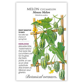 Melon Seeds, Mouse Cucamelon
