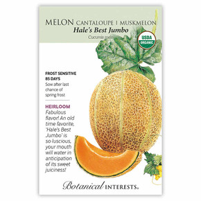 Melon Seeds,  Hale's Best Jumbo Cantaloupe, Organic