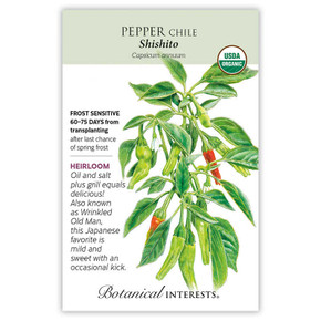 Pepper Seeds,  Shishito Chile, Organic
